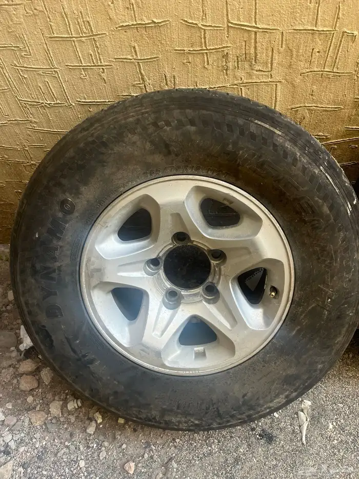 جنوط شاص رفرف 0