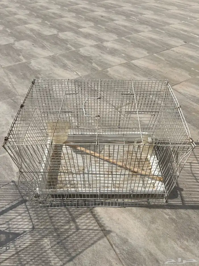 ثلاث اقفاص 1