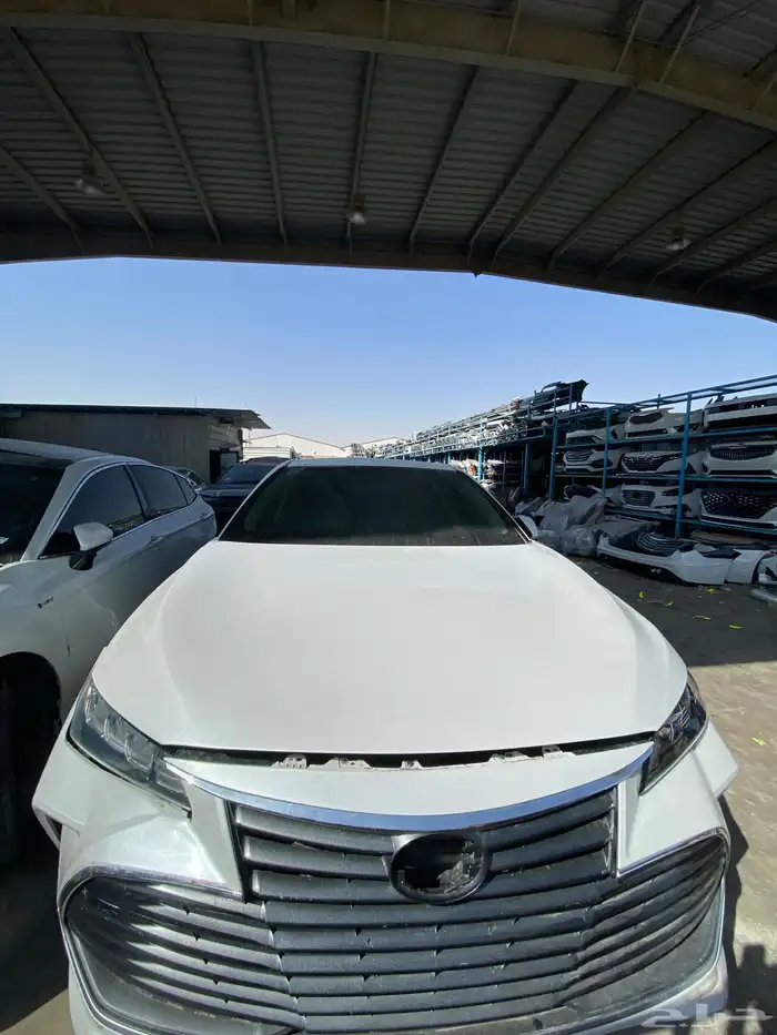 افلون 2019 (تشليح) 0