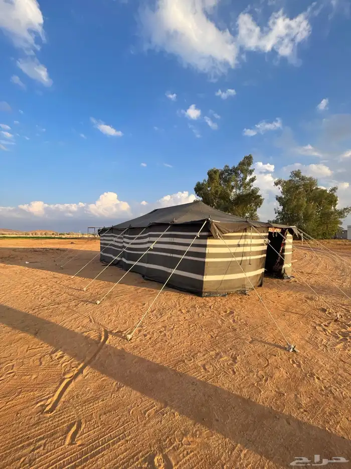 خيمه سودا عمودين 10 5 2