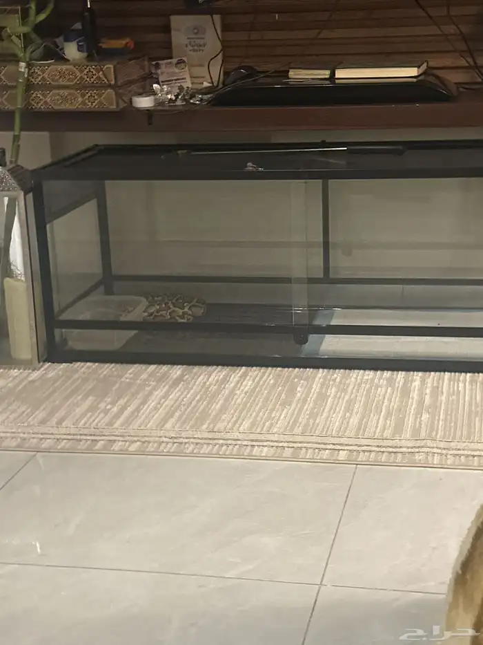 حوض زواحف وزواحف 0