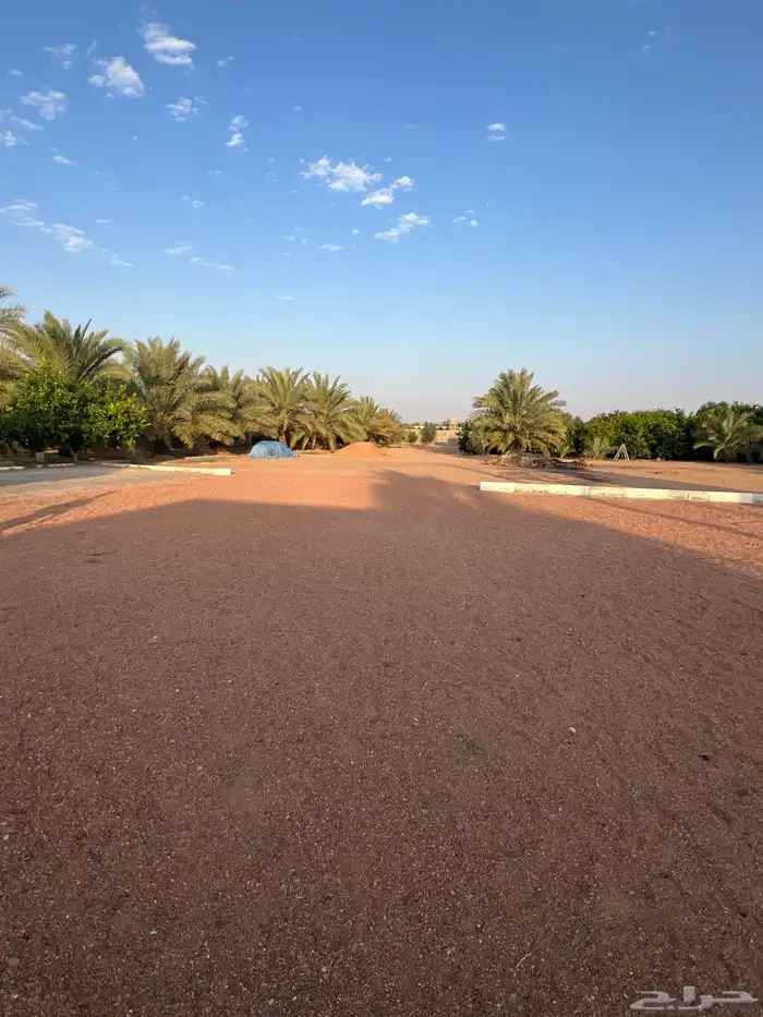 للبيع استراحة ومزرعة بالشقيق 10