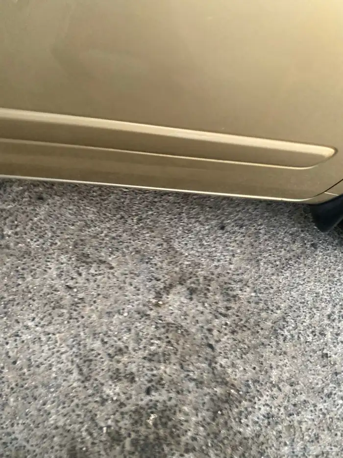 كيا كرنفال موديل 2011 1