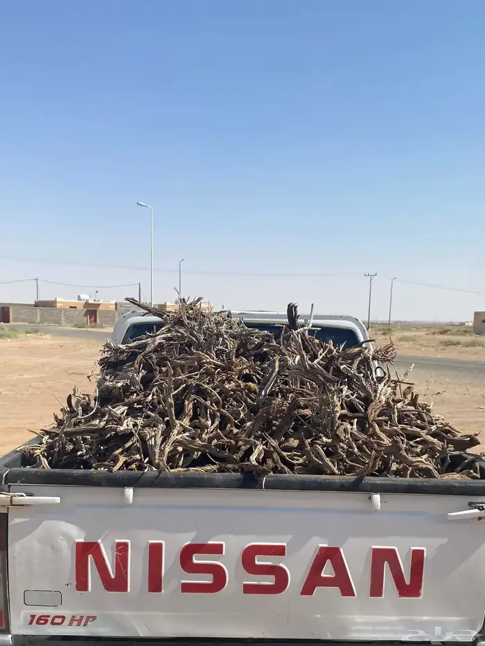 صندوق ددسن يبس شرط 0