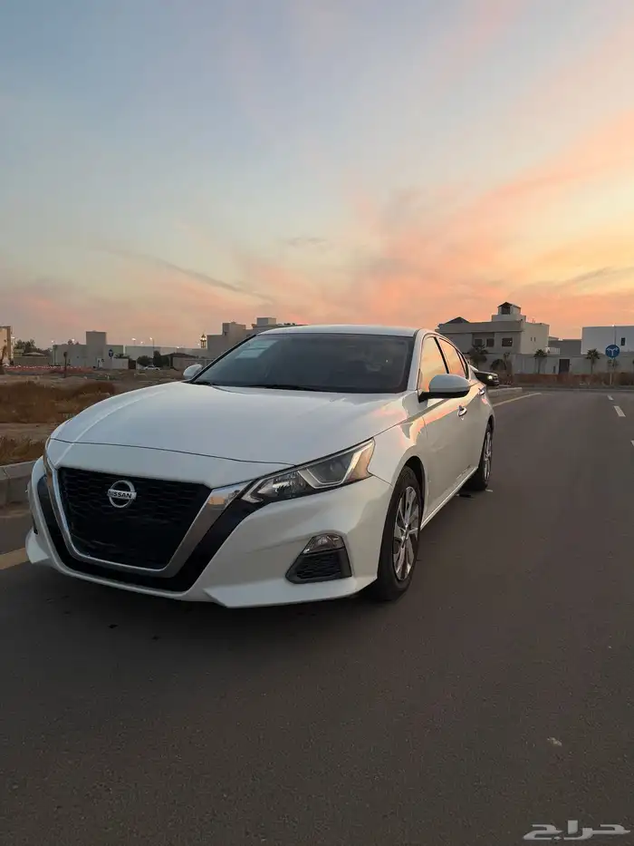 التيما 2020 ستاندر 7