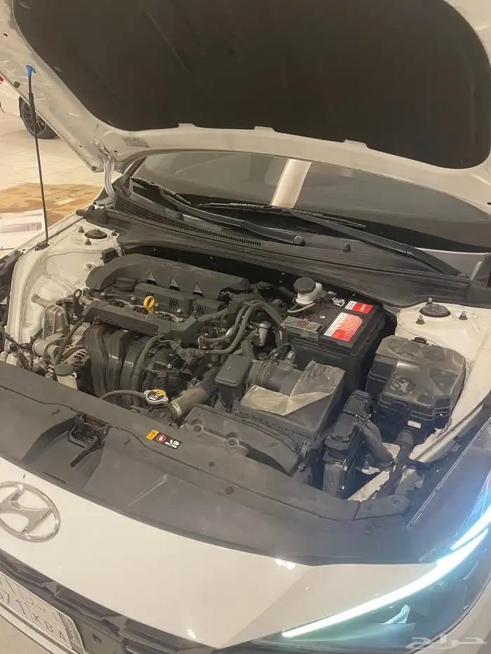 النترا 2021 14