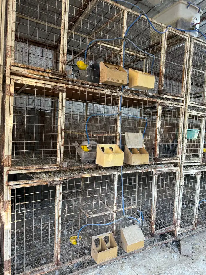 محاكر حديد للبيع 2