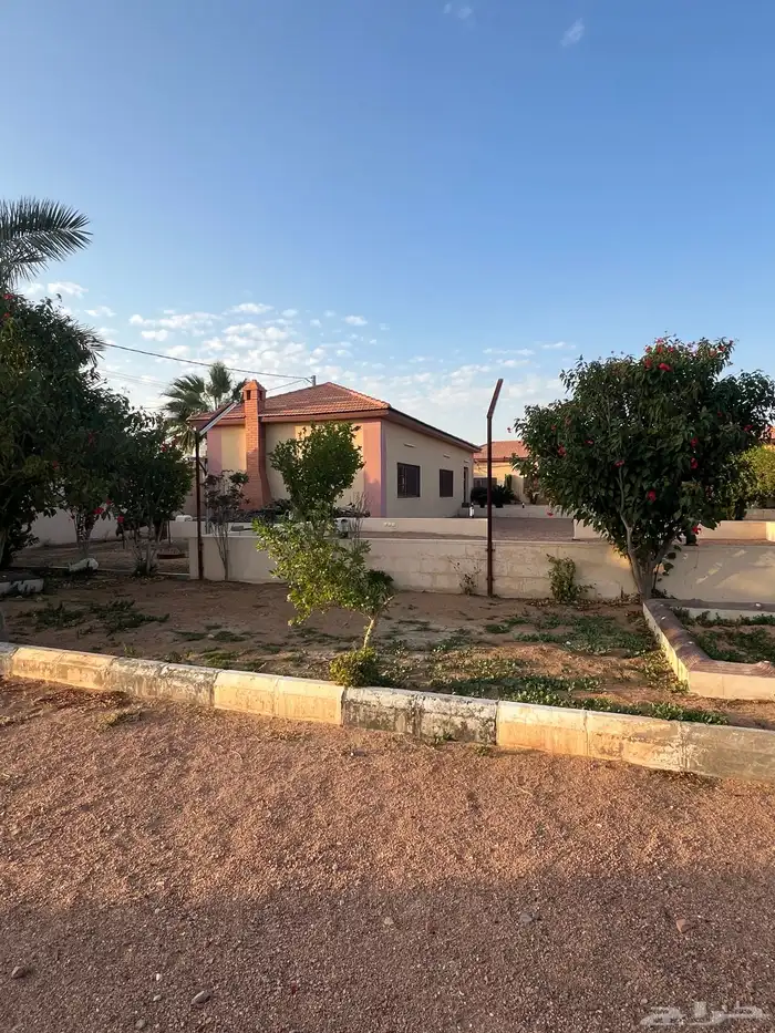 للبيع استراحة ومزرعة بالشقيق 8