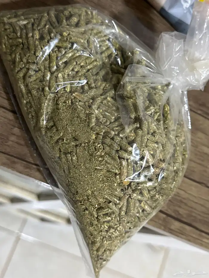 ارنب للبيع 3