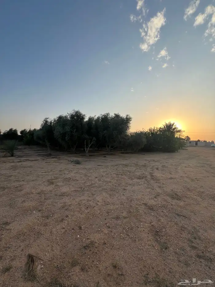 للبيع استراحة ومزرعة بالشقيق 29