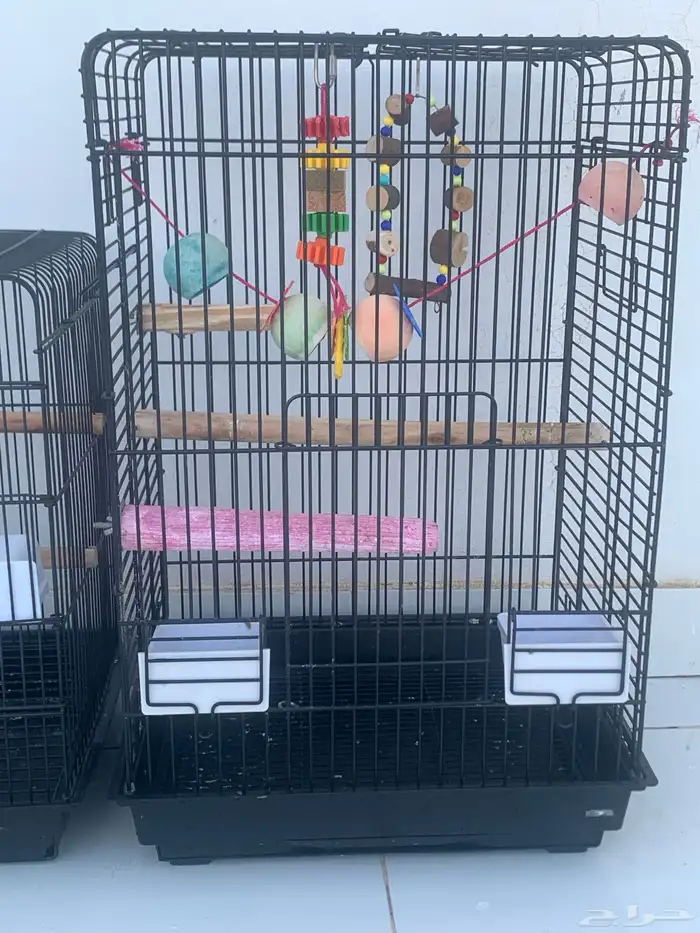 2 قفص كاسكو 2