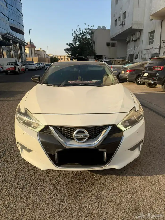 مكسيما 2017-2017 0