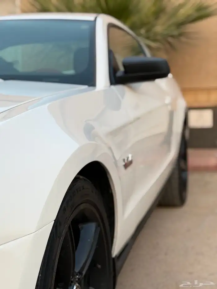 موستنج GT كت كالفورنيا سبيشل 13