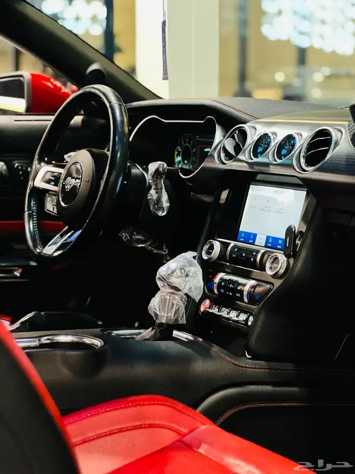 موستنج 2019 (بحاله ممتازه) 15