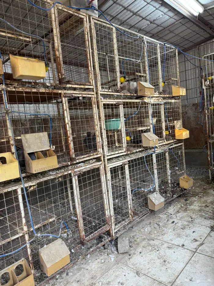 محاكر حديد للبيع 1