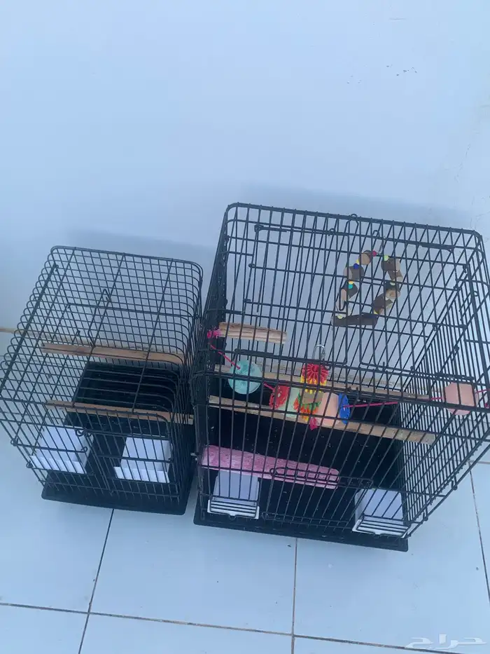 2 قفص كاسكو 5