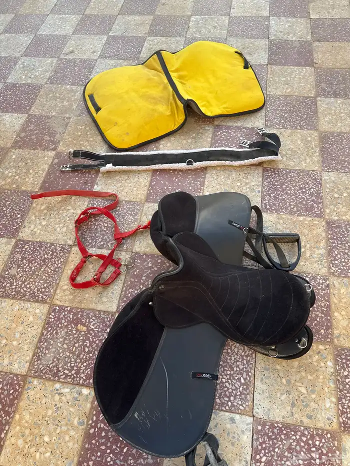 سرج خيل للبيع 2