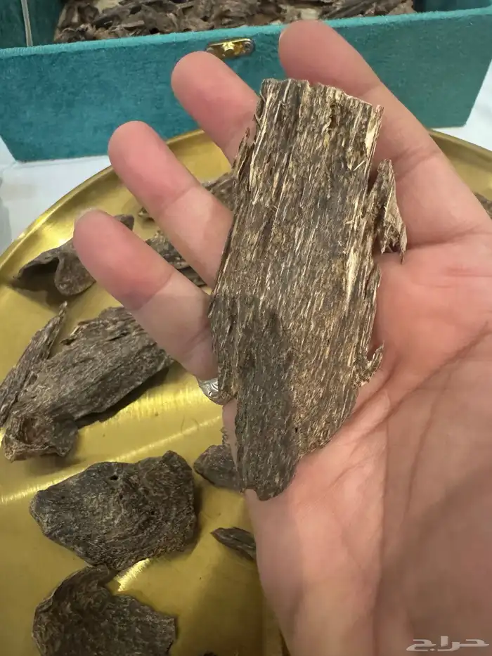 عود بنكاوي درجه عاليه طبيعي 100   100 2