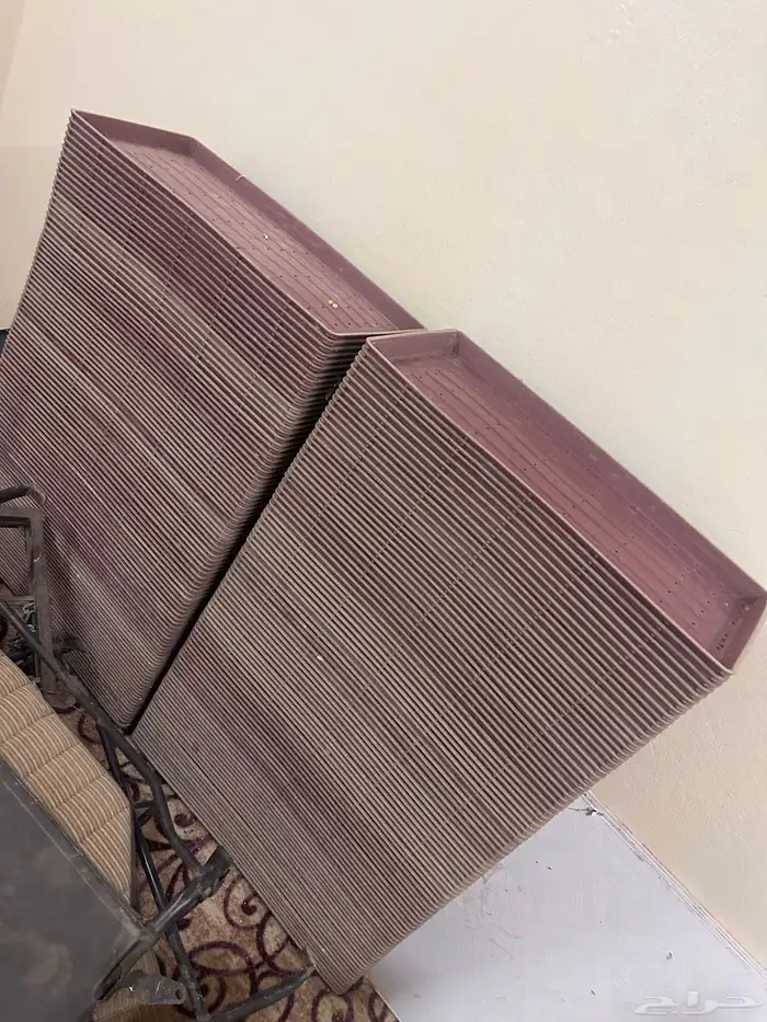 ويوجد صحون استمبات شعير 0