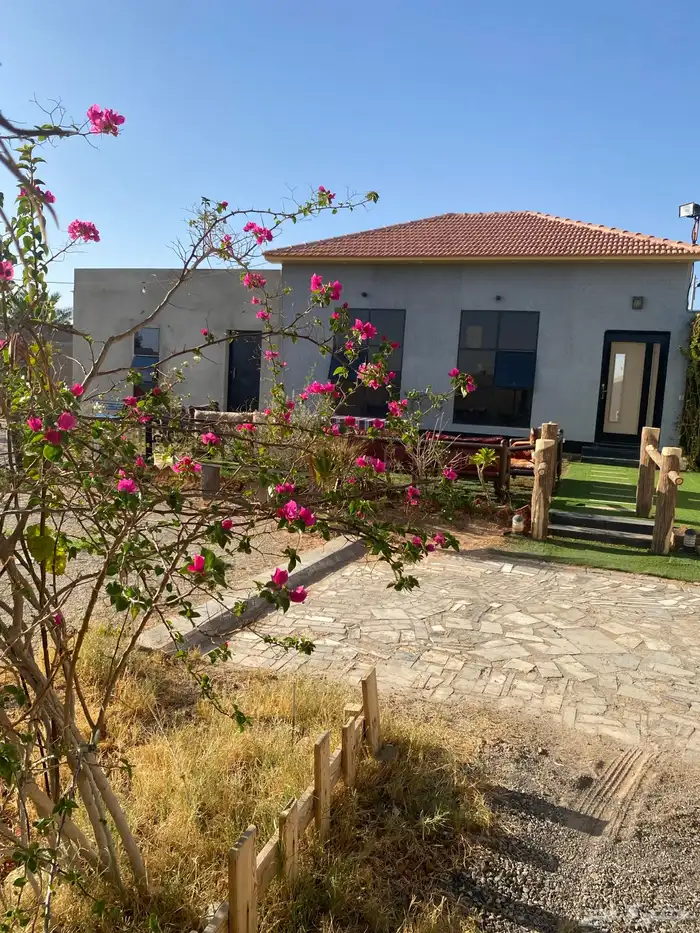 شاليه جوري الهلاليه البكيريه 9