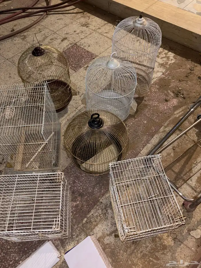 اللحقق العرض أقفاص على (10) ريال 0