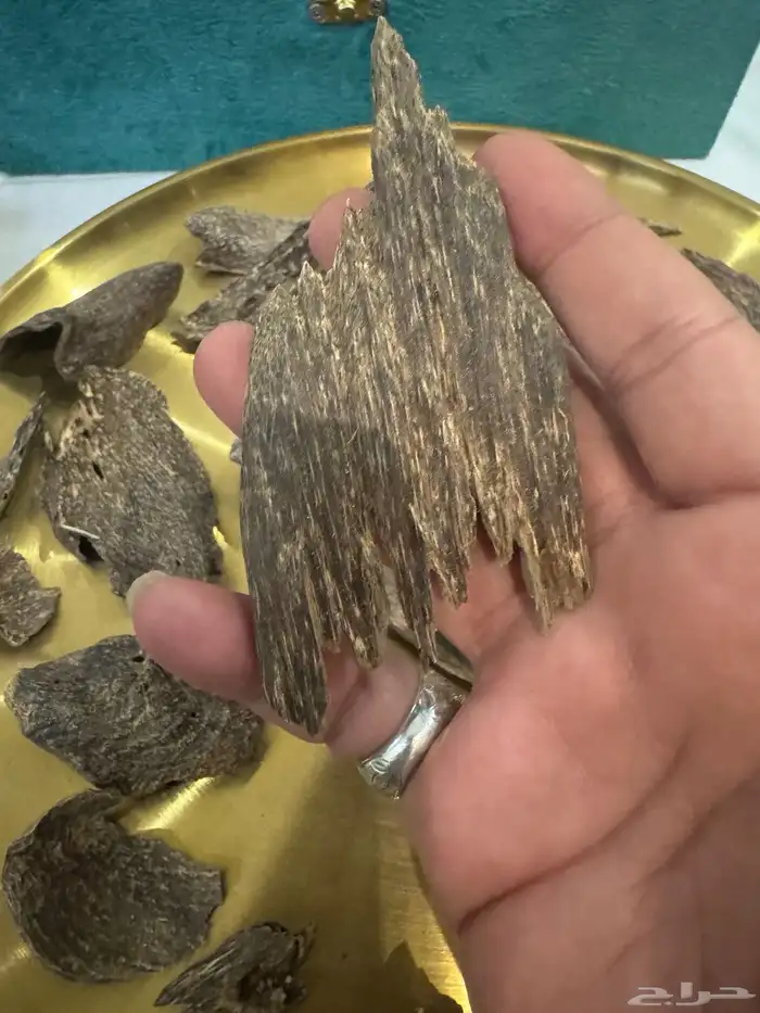 عود بنكاوي درجه عاليه طبيعي 100   100 0