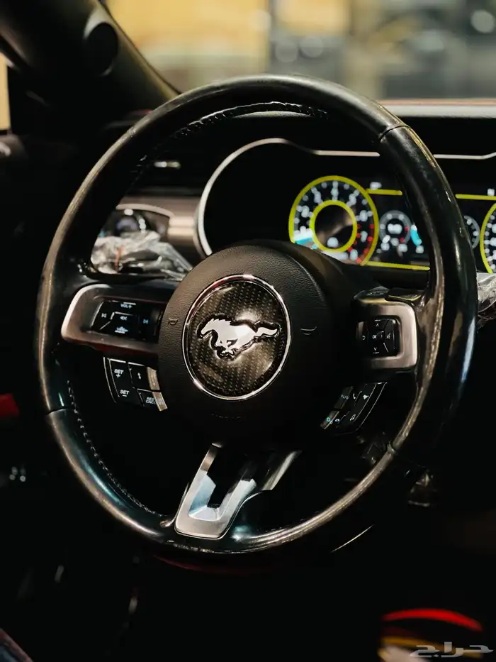 موستنج 2019 (بحاله ممتازه) 12