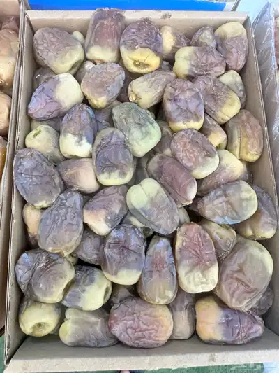 تمر تمور نجران الفاخره index