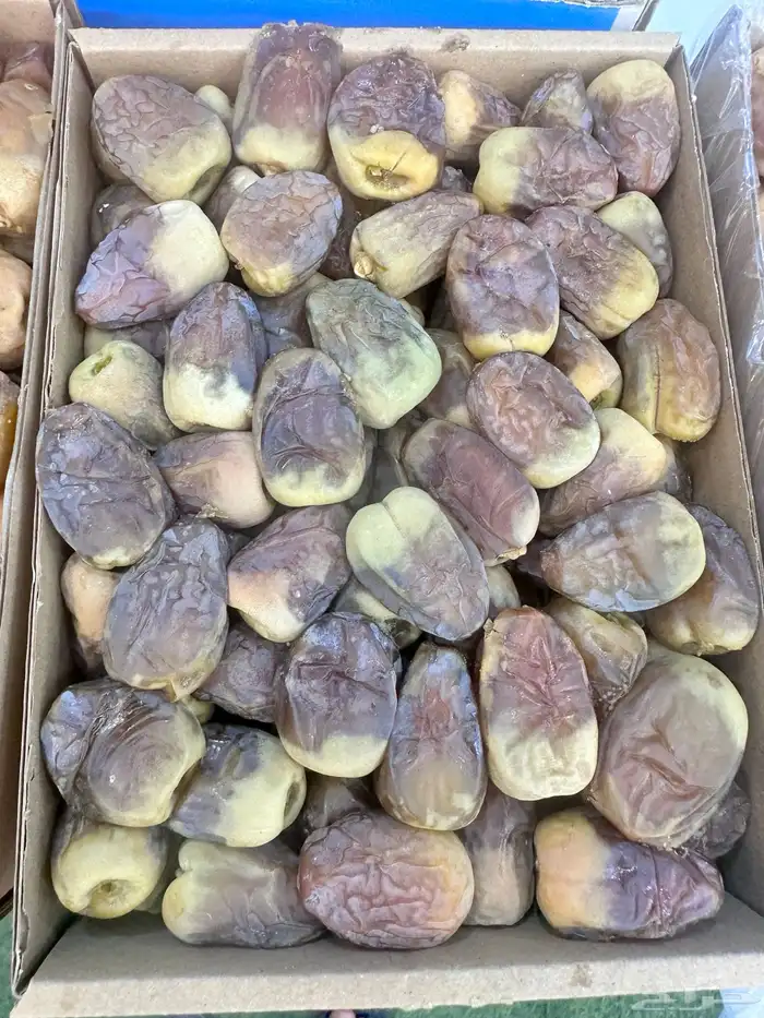 تمر تمور نجران الفاخره 1