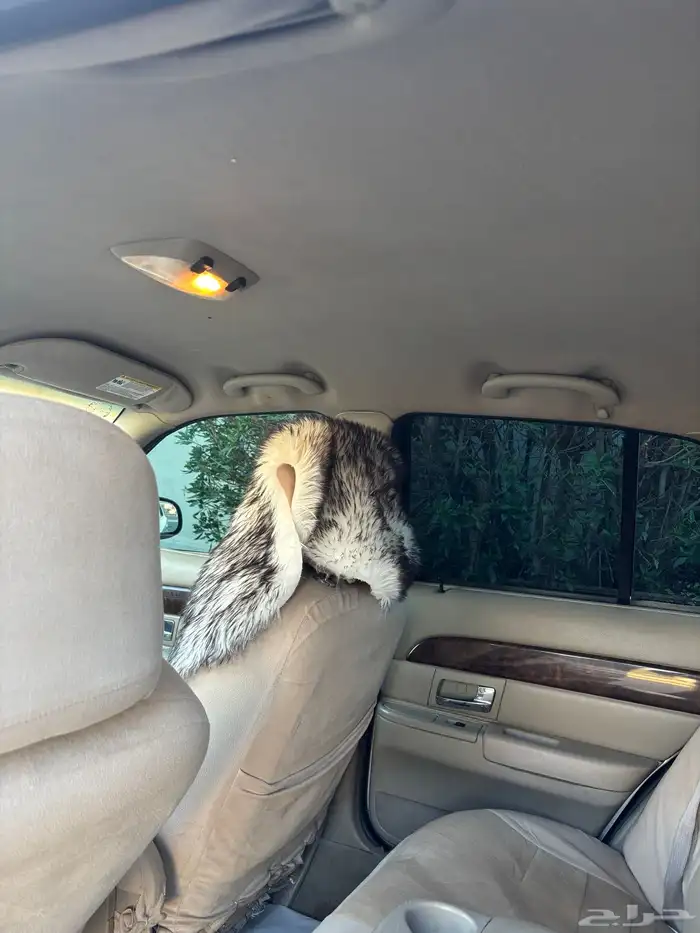 فورد ماركيز 2009 بدي بلد محركات على الشرط 7