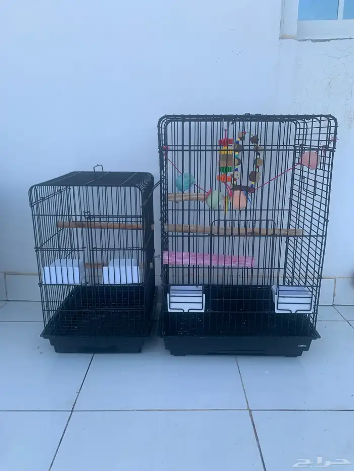 2 قفص كاسكو 0