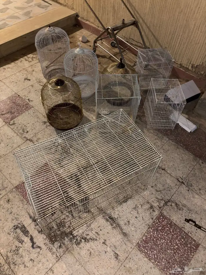 اللحقق العرض أقفاص على (10) ريال 1