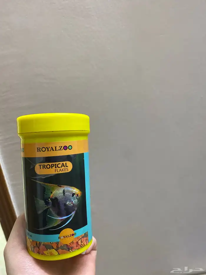 سمكه فايتر واكلها 3