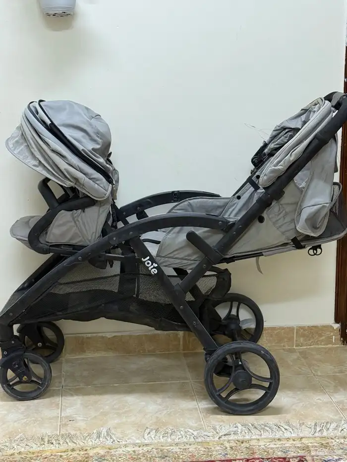 عربة توأم نظيفة 2