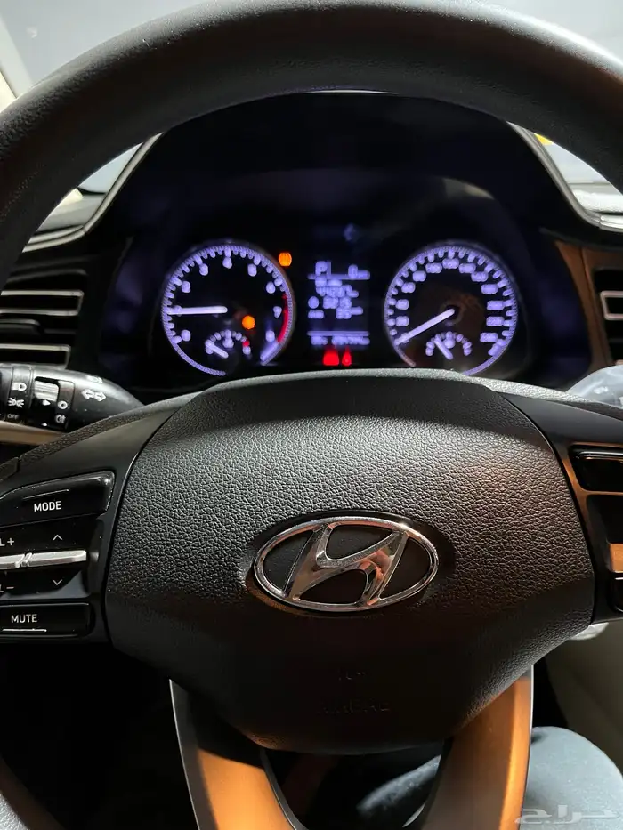 النترا 2020 13