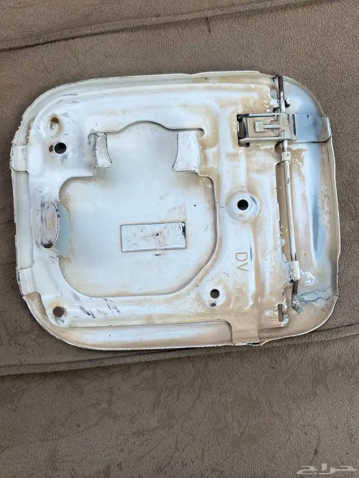 قط تنكي من 2006 إلى 2015 0