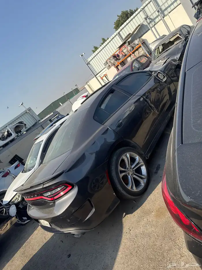 سيارات مصدومه 42