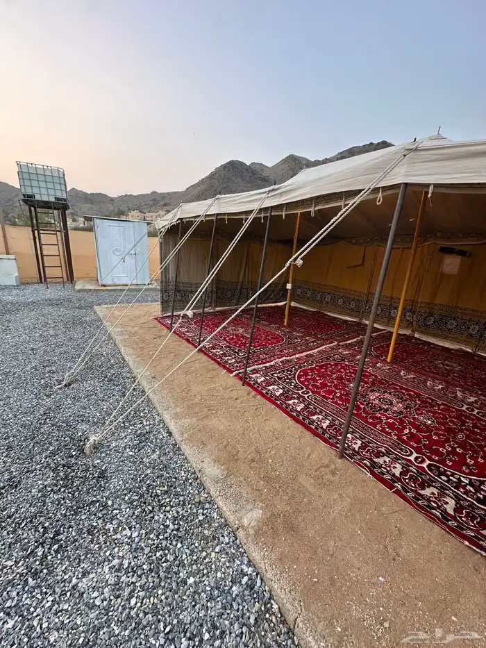 إستراحة ومخيم العز تهامة عقبة ضلع (مربه) 0