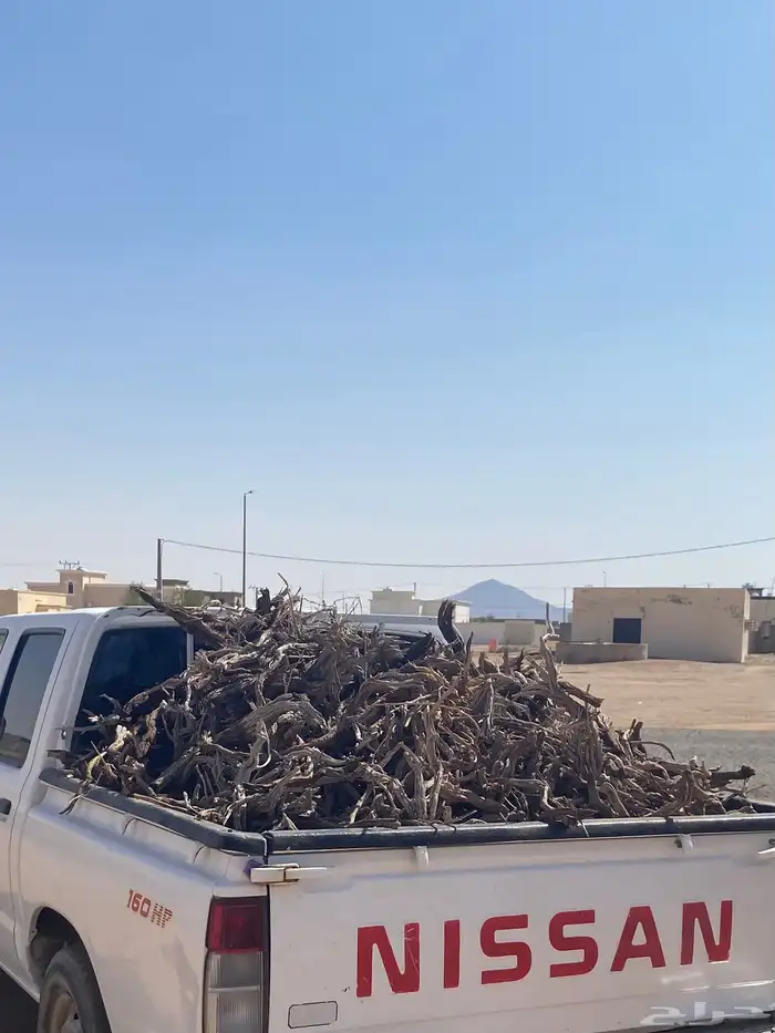 صندوق ددسن يبس شرط 1