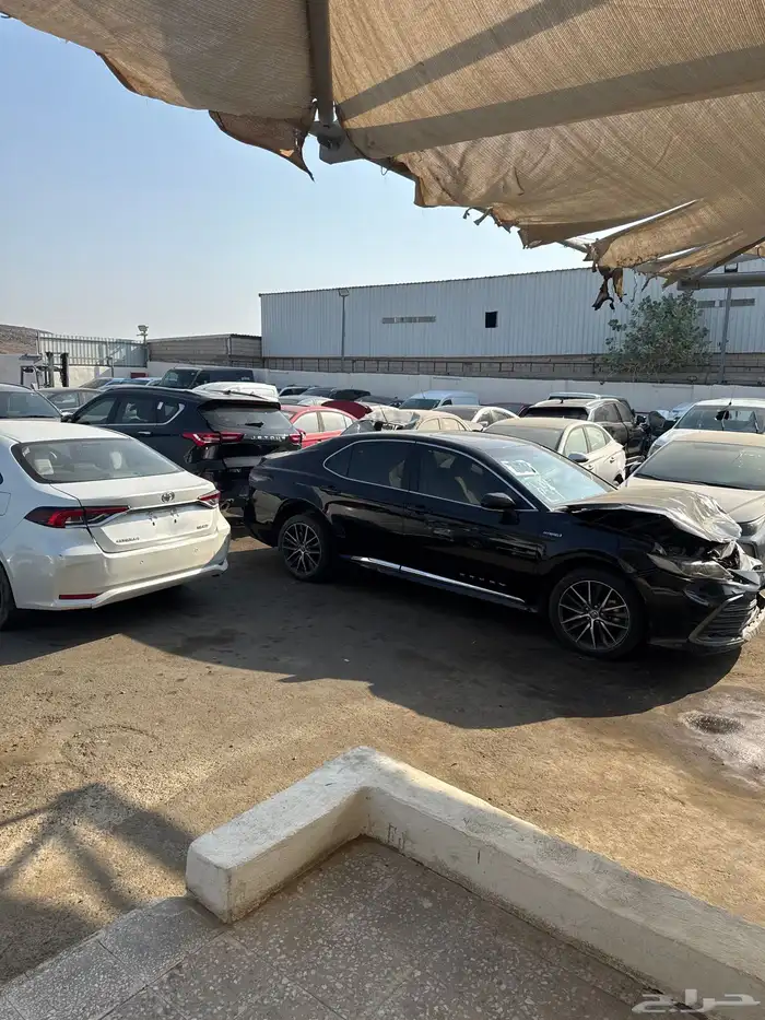 سيارات مصدومه 51