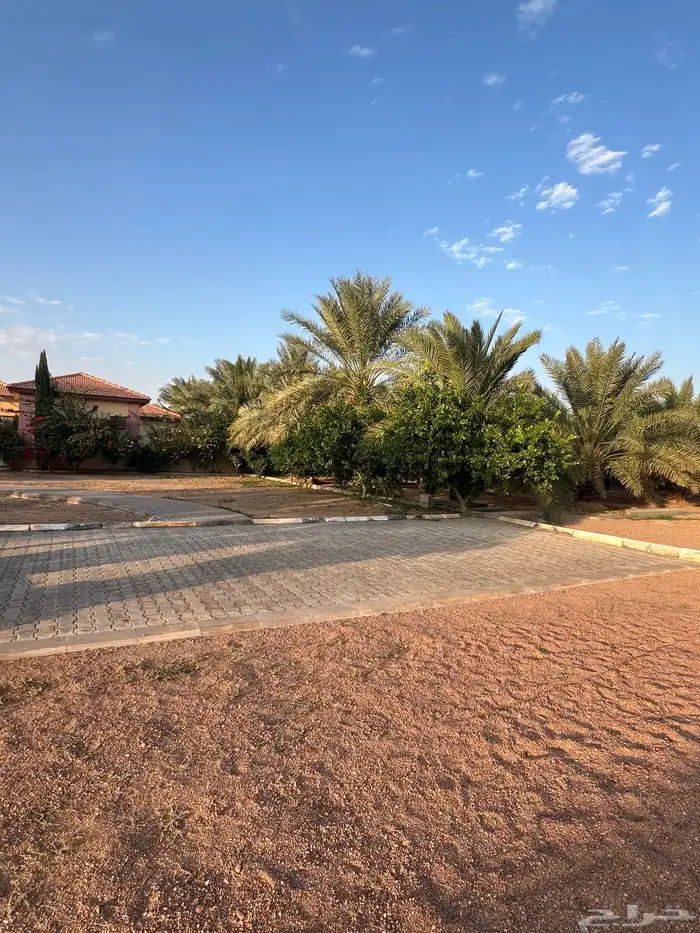 للبيع استراحة ومزرعة بالشقيق 4