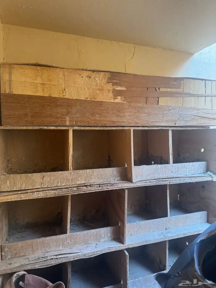 للبيع محاكر حمام   صياد حمام وبيت الحمام 1