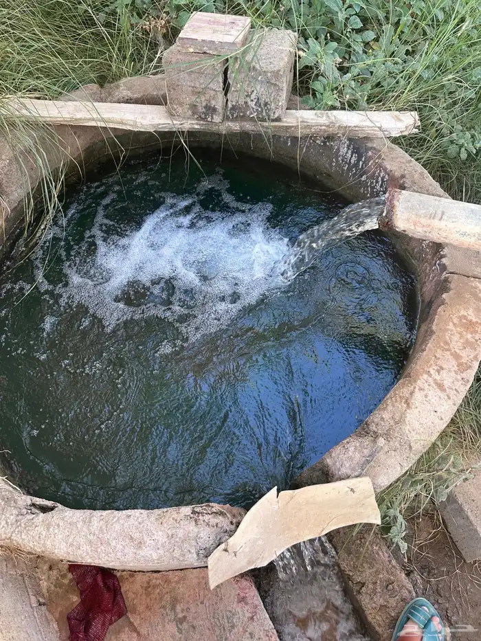 زريبة غنم جاهزه 5