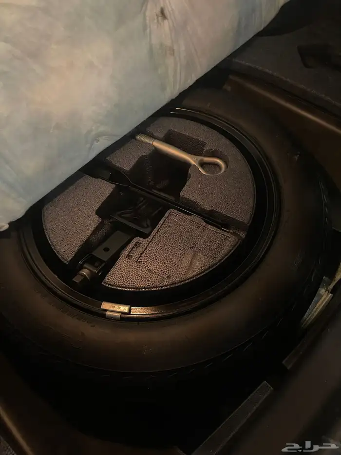 التيماء SV 2020 20