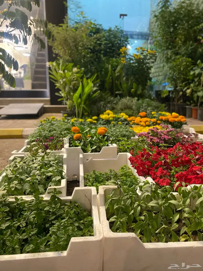 زهور و ورود واشجار في حديقة منزلك 1