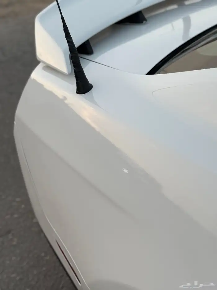 موستنج GT كت كالفورنيا سبيشل 29