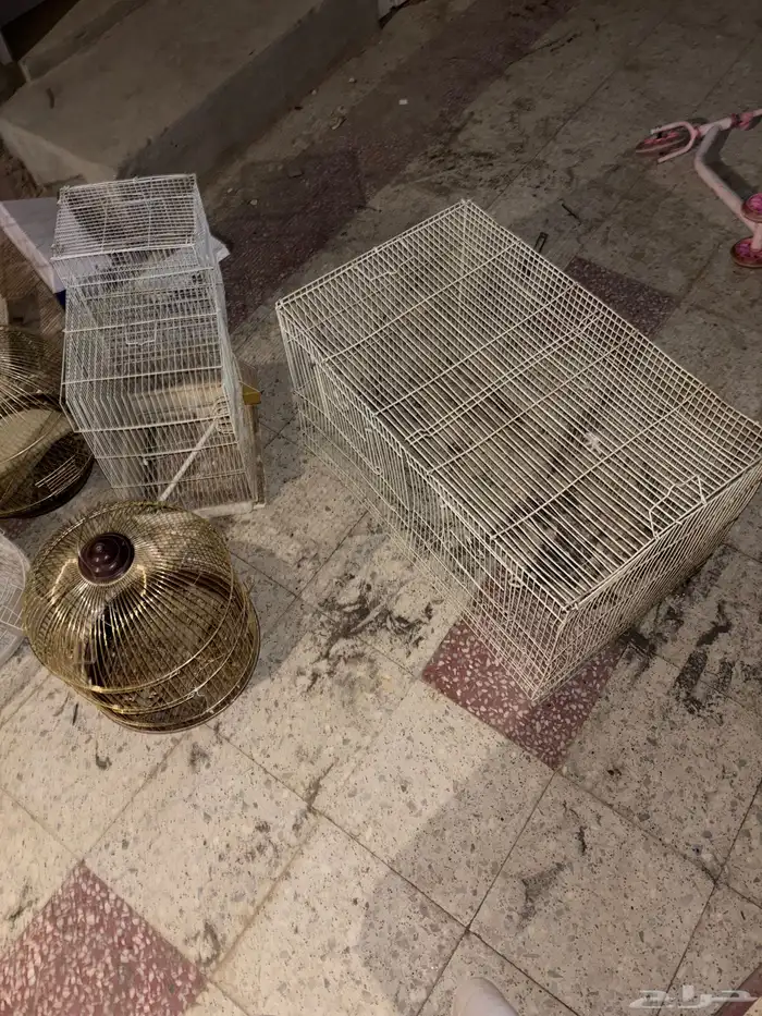 اللحقق العرض أقفاص على (10) ريال 2