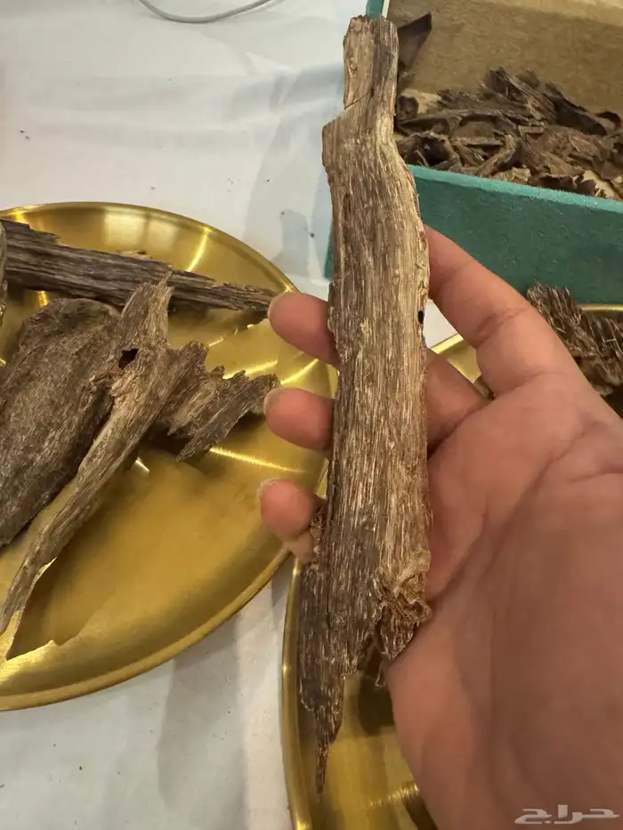 عود بنكاوي درجه عاليه طبيعي 100   100 5