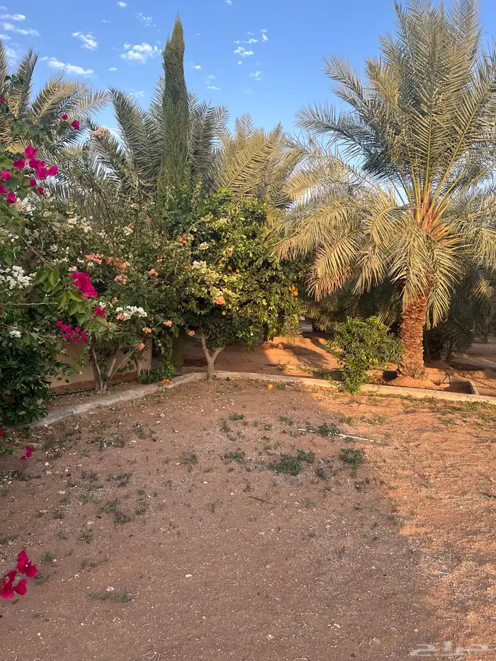 للبيع استراحة ومزرعة بالشقيق 27