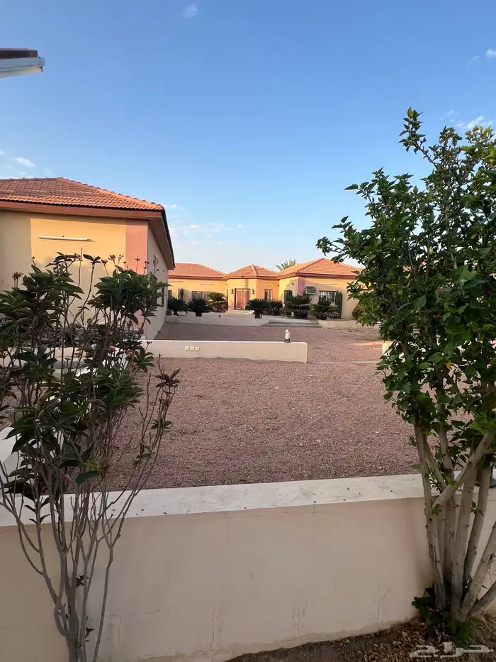 للبيع استراحة ومزرعة بالشقيق 7